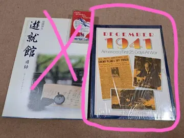 미국 시선으로 본 제2차 세계 대전의 첫 25일간의 기록 외국도서 전쟁