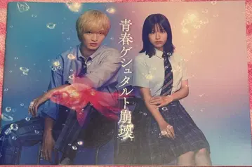 새상품급 사토 신 와타나베 미호 청춘 게슈탈트 붕괴 팜플렛