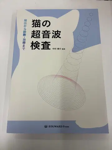 수의학 소동물 영상 진단 및 치료 고양이 초음파 검사