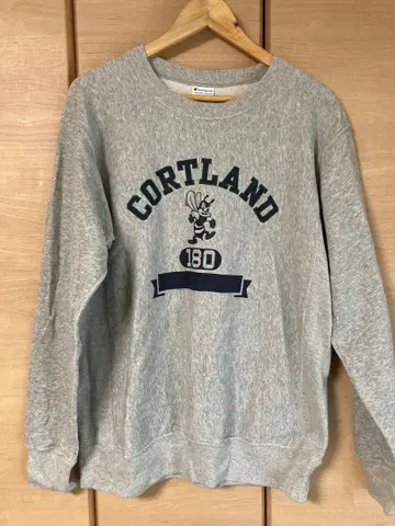 Champion Reverse Weave 맨투맨