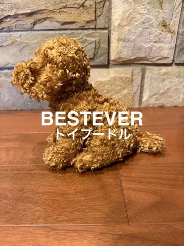 [ 새상품급 ] BESTEVER 토이 푸들 봉제 인형