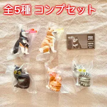 [ 전체 5종 컴프 세트 ] 눈에서 Beam 가챠