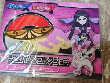 포켓몬스터 XY 짐 배지 컬렉션