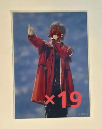 메테오라 로제 군 실사 브로마이드 19장 세트