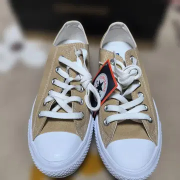 컨버스 넥스타 베이지