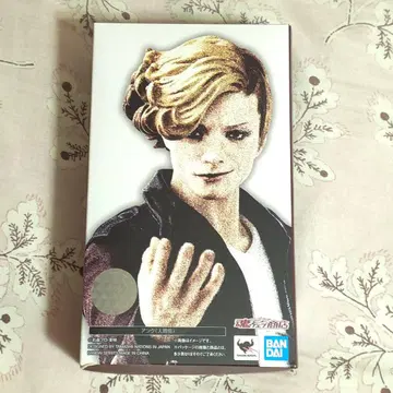 S.H.figuarts 앙크(인간태)