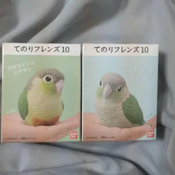 테노리 프렌즈 10