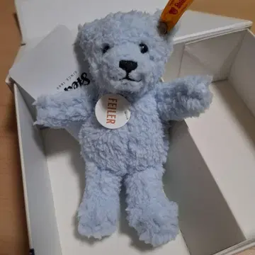 페이러 슈타이프 콜라보 테디베어 키링만