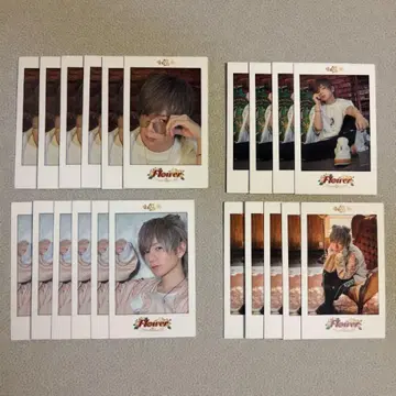 우라시마사카타센 우라타누키 타누완 폴라로이드풍 카드