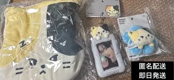 zeroni popup 리니니 복조리