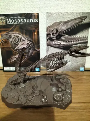 모사사우루스 고정 골격 프라모델