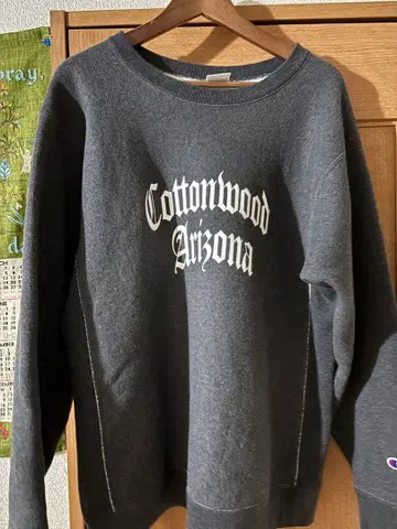 Champion 별주 리버스 위브 맨투맨