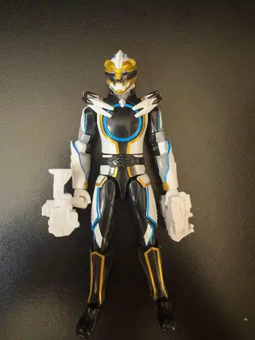 용동 고지 폴러