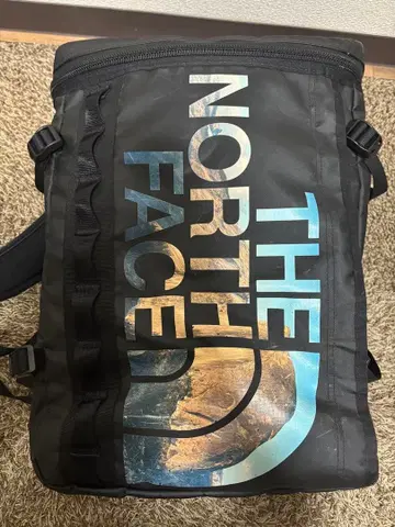 THE NORTH FACE 백팩 백팩