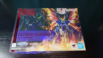 METAL ROBOT혼 데스티니 건담 + 빛의 날개 & 이펙트 세트