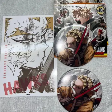 히로아카 원화전 호크스