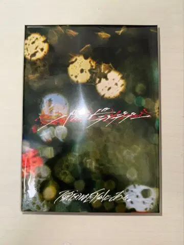 파라노이드 랑데부 관측소 한정판 미개봉