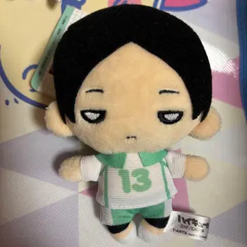 하이큐 니토탄 쿠니미 에이