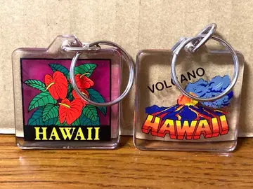 레어 빈티지 하와이 VOLCANO 히비스커스 화산 키링 2개