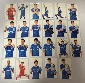 브라우블리츠 아키타 선수 카드