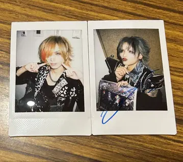 Royz 폴라로이드 스바루 토모야