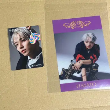 ONE N' ONLY 라쿠텐 북스 타카오 하야토 HAYATO