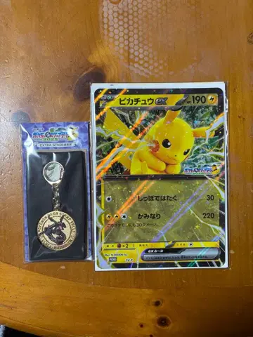 JR 동일본 포켓몬 메가 스탬프 랠리 세트