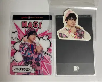 팬더드래곤 나기 굿즈