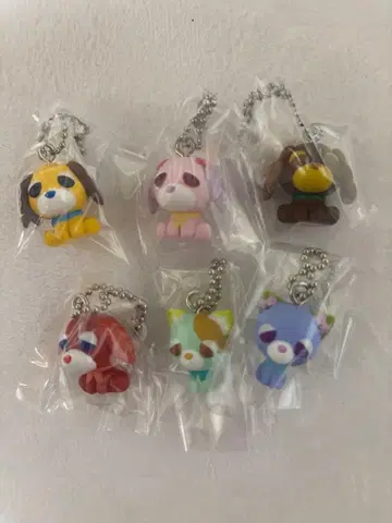 오챠이누 초코 보로 6종 세트