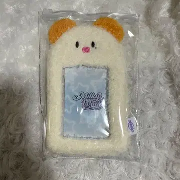 EVNNE EVNNIZ 카드 케이스 승언 포름이