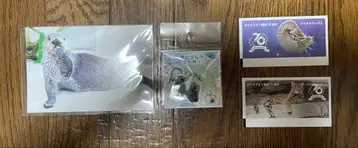 도바 수족관 엄브렐라 마커 엽서 사용 완료 티켓