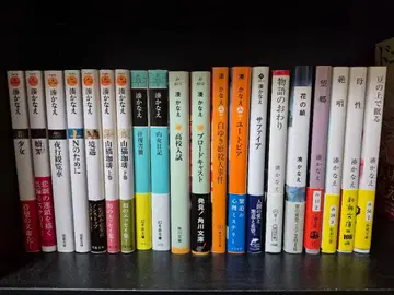 미나토 카나에 소설 20권 세트