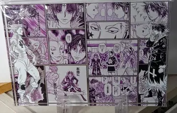 클로로 vs 히소카 아크릴 스탠드