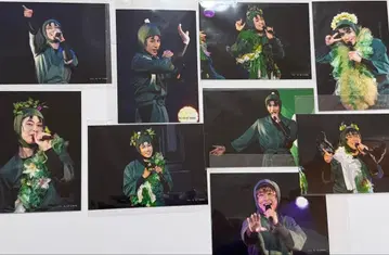 [ 장미 불가 ] 닌뮤 롯칸 스테브로 19장 세트