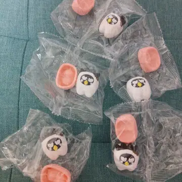 산리오 캐릭터 모두 함께 되어버리자 이