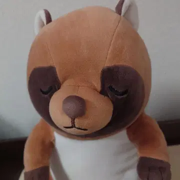 자는 너구리 봉제 인형 크기 약 34cm