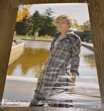 Acid Black Cherry 포스터 6장 세트 5