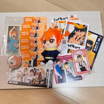 하이큐 히나타 쇼요 캔뱃지 봉제 인형 특전