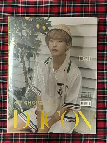 세븐틴 DICON 호시