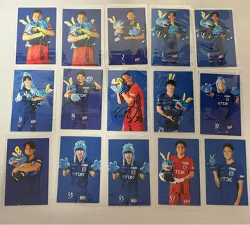 브라우블리츠 아키타 선수 카드