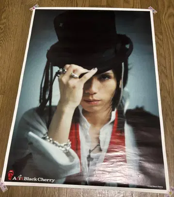 A9 Black Cherry 포스터 5장 세트