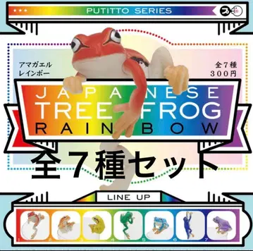 putitto 청개구리 레인보우 전 7종 세트
