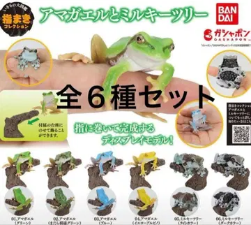 생물대도감 손가락말이 컬렉션 청개구리와 밀키 트리 [전 6종]