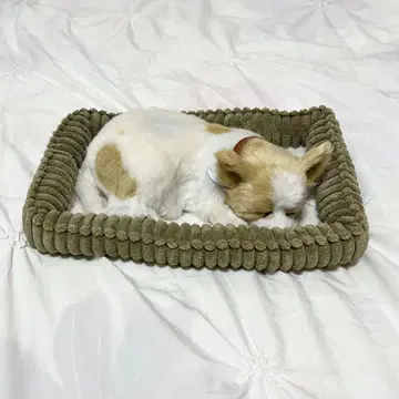 퍼펙트 반려동물 치와와 침대 포함