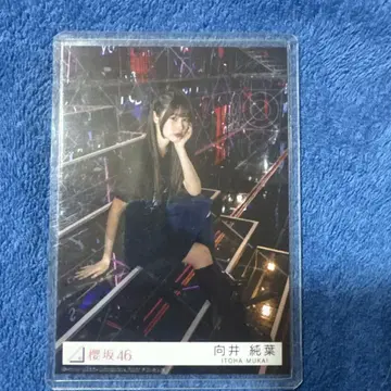 사쿠라자카46 무카이 이토하 도쿄돔 촬영 프리미엄 브로마이드 덤 포함