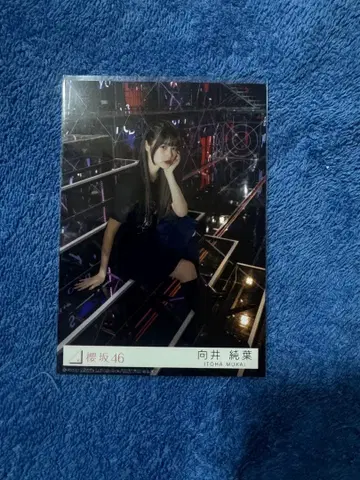 사쿠라자카46 무카이 이토하 도쿄돔 촬영 프리미엄 브로마이드 덤 포함