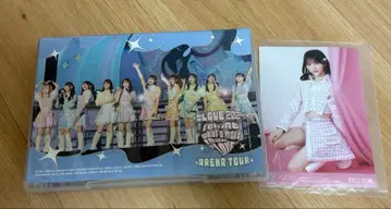 =LOVE 아레나 투어 2024 DVD