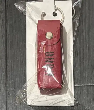 HANA 로고 립 케이스