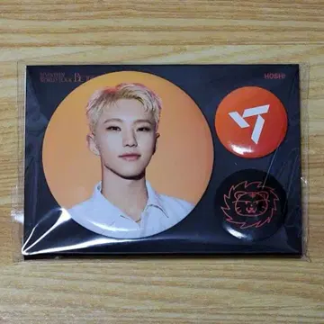 SEVENTEEN BE THE SUN 캔뱃지 호시