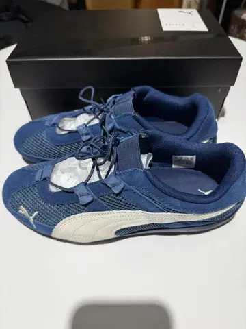 푸마 스피드캣 블루 25cm